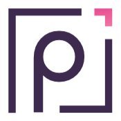 paccurate.io API logo