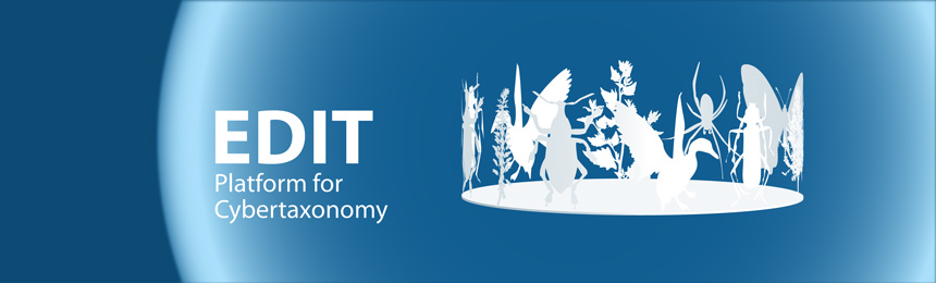 EU BON UTIS API logo